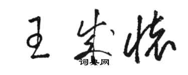 骆恒光王成怀草书个性签名怎么写