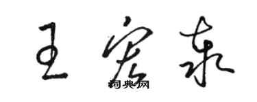 骆恒光王宏泰草书个性签名怎么写