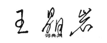 骆恒光王晶岩草书个性签名怎么写