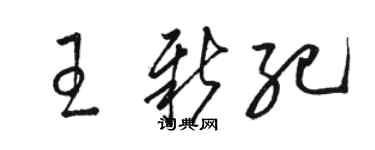 骆恒光王新纪草书个性签名怎么写