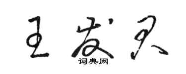 骆恒光王发君草书个性签名怎么写