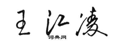 骆恒光王江凌草书个性签名怎么写