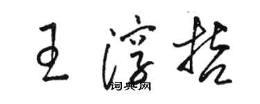 骆恒光王淳哲草书个性签名怎么写