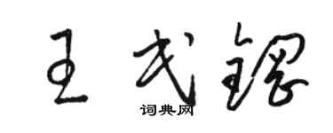 骆恒光王民钢草书个性签名怎么写