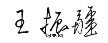 骆恒光王振疆草书个性签名怎么写