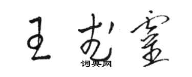 骆恒光王武灵草书个性签名怎么写