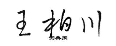 骆恒光王柏川草书个性签名怎么写