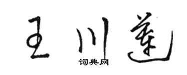 骆恒光王川莲草书个性签名怎么写