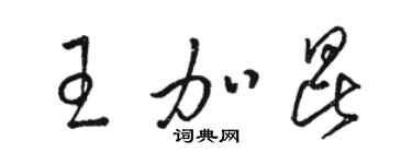 骆恒光王加昆草书个性签名怎么写