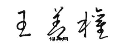 骆恒光王善权草书个性签名怎么写