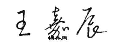 骆恒光王嘉辰草书个性签名怎么写