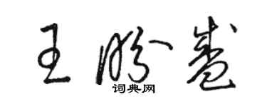 骆恒光王盼盛草书个性签名怎么写