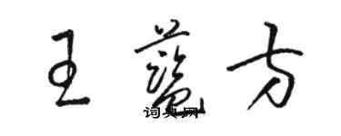 骆恒光王蓝方草书个性签名怎么写