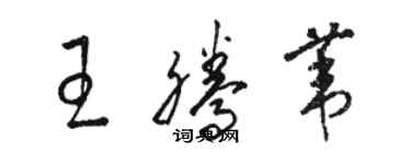 骆恒光王腾苇草书个性签名怎么写