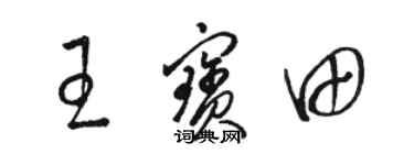 骆恒光王宝田草书个性签名怎么写