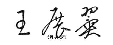 骆恒光王展翼草书个性签名怎么写