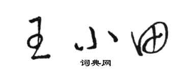 骆恒光王小田草书个性签名怎么写