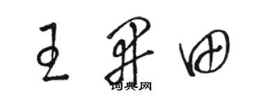 骆恒光王开田草书个性签名怎么写