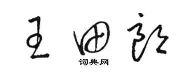 骆恒光王田朗草书个性签名怎么写