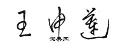 骆恒光王申莲草书个性签名怎么写
