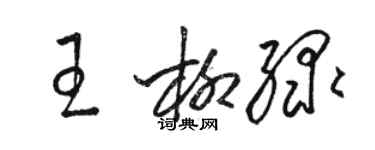 骆恒光王柳绿草书个性签名怎么写