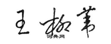 骆恒光王柳苇草书个性签名怎么写