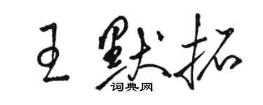 骆恒光王默拓草书个性签名怎么写