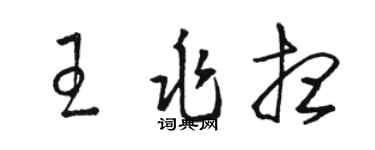骆恒光王兆想草书个性签名怎么写