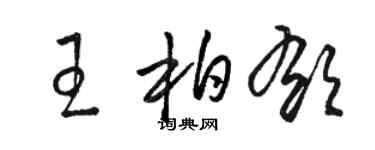 骆恒光王柏郁草书个性签名怎么写