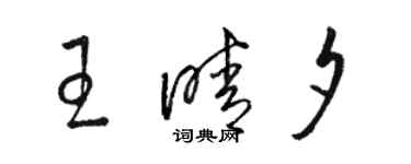 骆恒光王晴夕草书个性签名怎么写