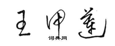 骆恒光王甲莲草书个性签名怎么写