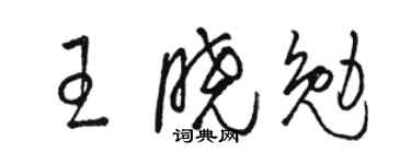 骆恒光王晓勉草书个性签名怎么写