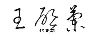 骆恒光王启兰草书个性签名怎么写