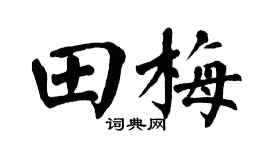 翁闿运田梅楷书个性签名怎么写