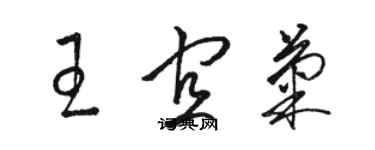 骆恒光王宜菊草书个性签名怎么写