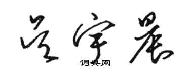 骆恒光吴宇晨草书个性签名怎么写