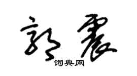 朱锡荣郭震草书个性签名怎么写