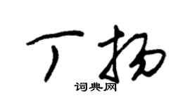 朱锡荣丁扬草书个性签名怎么写