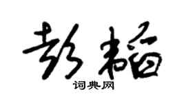 朱锡荣彭韬草书个性签名怎么写