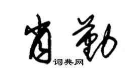 朱锡荣肖勤草书个性签名怎么写