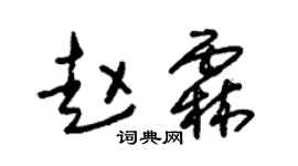 朱锡荣赵霖草书个性签名怎么写