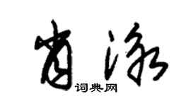 朱锡荣肖泳草书个性签名怎么写