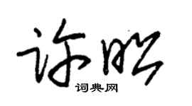 朱锡荣许昭草书个性签名怎么写