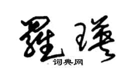 朱锡荣罗瑛草书个性签名怎么写