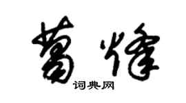 朱锡荣葛烽草书个性签名怎么写