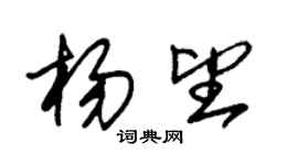 朱锡荣杨望草书个性签名怎么写