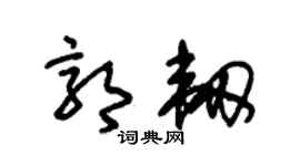 朱锡荣郭韧草书个性签名怎么写