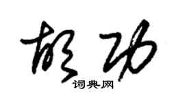 朱锡荣胡功草书个性签名怎么写