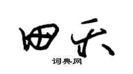 朱锡荣田夭草书个性签名怎么写