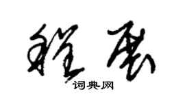 朱锡荣程展草书个性签名怎么写